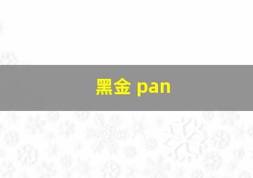 黑金 pan